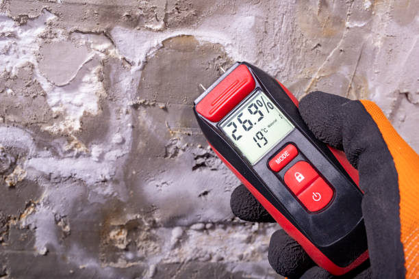 Reliable Shelby, NC Mold Removal Solutions