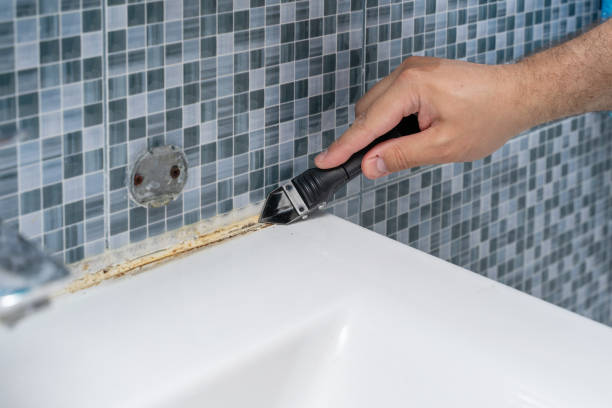 Best Mold Testing  in Shelby, NC