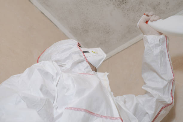 Best Toxic Mold Removal  in Shelby, NC